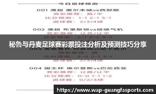 秘鲁与丹麦足球赛彩票投注分析及预测技巧分享